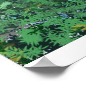 Calanques Poster (Hoek)