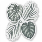 Calathea blad sticker (Voorkant)