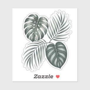 Calathea blad sticker