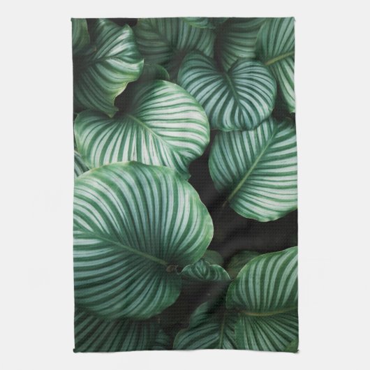 Calathea-bladeren, schaal met gestreepte tropische theedoek (Verticaal)