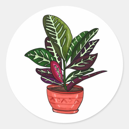 Calathea Hand Drawn Houseplant Art Ronde Sticker (Voorkant)