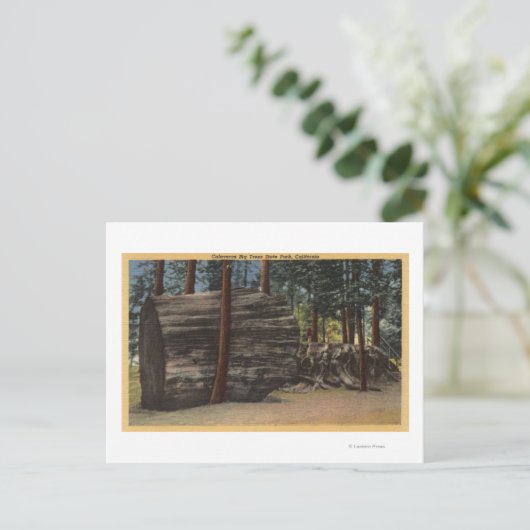 Calaveras Big Trees State Park Briefkaart (Staand voorkant)
