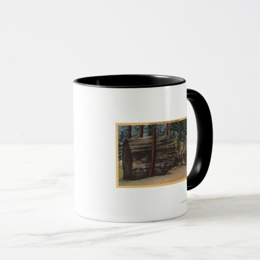 Calaveras Big Trees State Park Mok (Voorkant rechts)