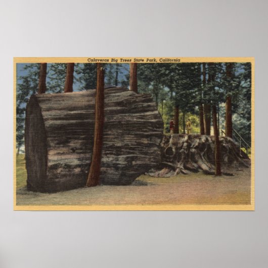 Calaveras Big Trees State Park Poster (Voorkant)