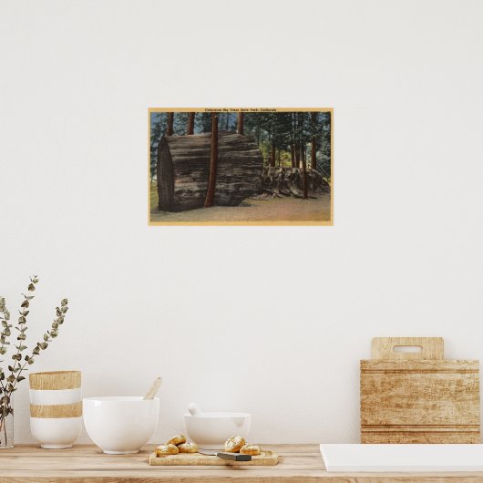 Calaveras Big Trees State Park Poster (Keuken)