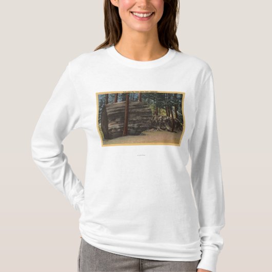 Calaveras Big Trees State Park T-shirt (Voorkant)