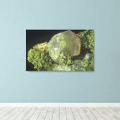 Calcietkristal en Mottramiet, Tsumeb Mine, Namib Canvas Afdruk (Insitu (Houten vloer))