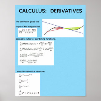 Calculus: Afgeleiden Poster