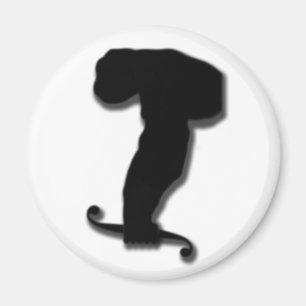 Calculus Ape Magneet