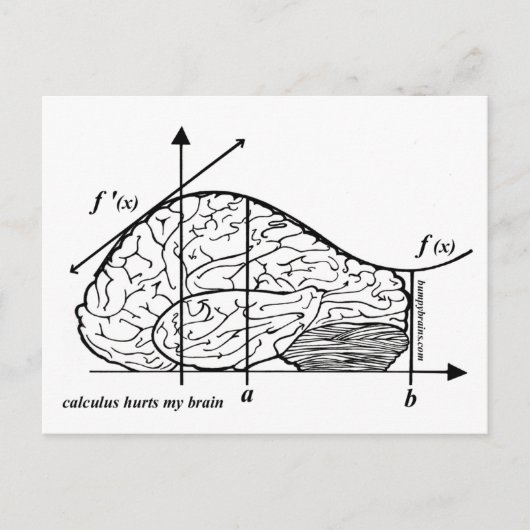 Calculus Hurts my Brain Briefkaart (Voorkant)