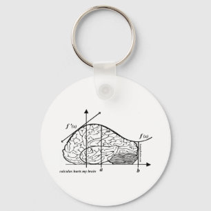 Calculus Hurts my Brain Sleutelhanger