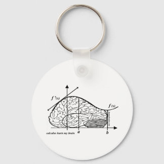 Calculus Hurts my Brain Sleutelhanger