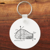Calculus Hurts my Brain Sleutelhanger (Voorkant)