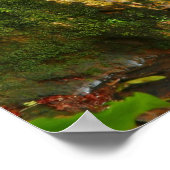 Caldeira Velha, Azoren Poster (Hoek)