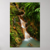 Caldeira Velha, Azoren Poster (Voorkant)