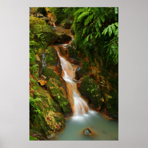 Caldeira Velha, Azoren Poster