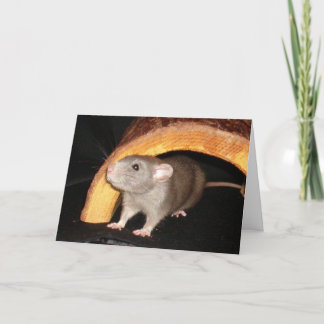 Caleb-kaart Bedankkaart