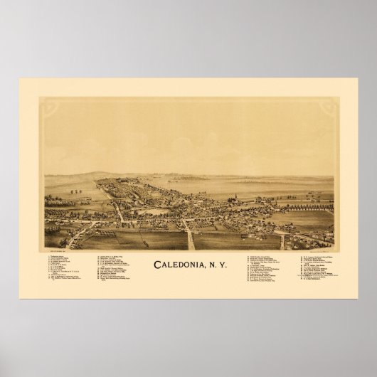 Caledonia, NY Panoramic Map - 1892 Poster (Voorkant)