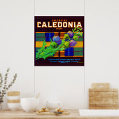 Caledonia oranje crate label uit de jaren dertig poster (Keuken)