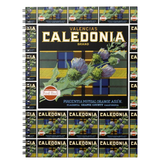 Caledonia Oranje Label multiprint Notitieboek (Voorkant)
