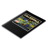 Caledonia Oranje label Notitieboek (Linkerzijde)