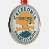 Caledonia State Park Pennsylvania Retro Metalen Ornament (Rechts)