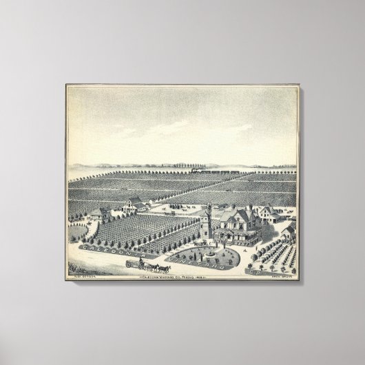 Caledonia Vineyard County, Fresno Canvas Afdruk (Voorkant)