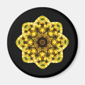 caleidoscoop abstracte vorm ster oog iris wetensch magneet (Voorkant)