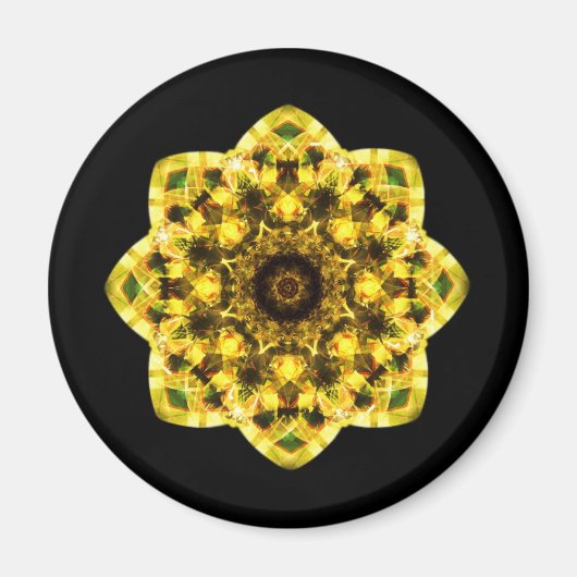 caleidoscoop abstracte vorm ster oog iris wetensch magneet (Voorkant)