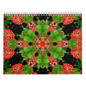 caleidoscopen kalender (Hoes)