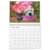 CALENDAR 2013,FUNNY PETS GRAPHICS,MAANDELIJKSE PLA KALENDER (Mar 2026)
