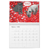 CALENDAR 2013,FUNNY PETS GRAPHICS,MAANDELIJKSE PLA KALENDER (Feb 2026)