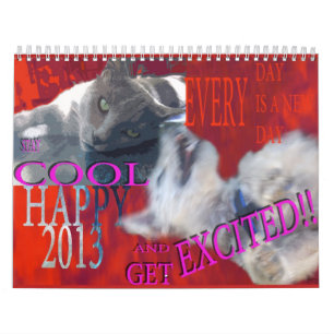 CALENDAR 2013,FUNNY PETS GRAPHICS,MAANDELIJKSE PLA KALENDER