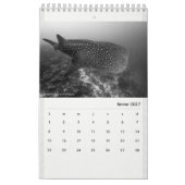 Calendar 2022 RANGIROA BW Kalender (Feb 2027)