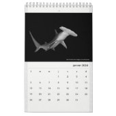 Calendar 2022 RANGIROA BW Kalender (Jan 2026)