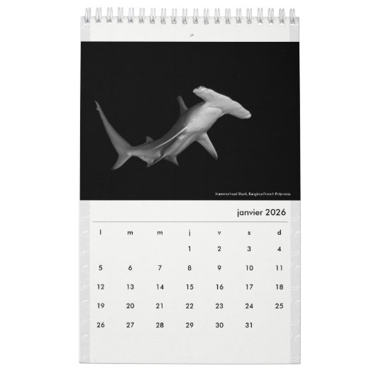 Calendar 2022 RANGIROA BW Kalender (Jan 2026)