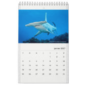 Calendar 2022 RANGIROA Kalender (Jan 2027)