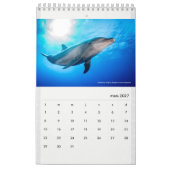 Calendar 2022 RANGIROA Kalender (Mar 2027)