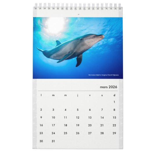 Calendar 2022 RANGIROA Kalender (Mar 2026)