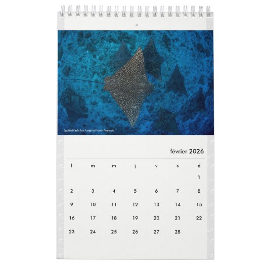 Calendar 2022 RANGIROA  Kalender (Feb 2026)