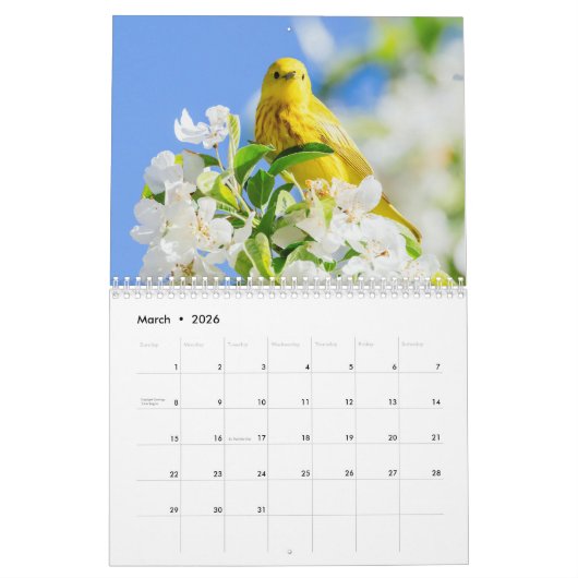 Calendar 2026 kalender (Mar 2026)