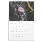 Calendar 2026 Scottish Wildlife  Kalender (Mar 2027)