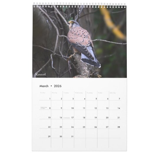 Calendar 2026 Scottish Wildlife  Kalender (Mar 2026)