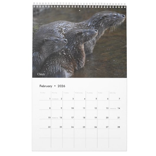 Calendar 2026 Scottish Wildlife  Kalender (Feb 2026)