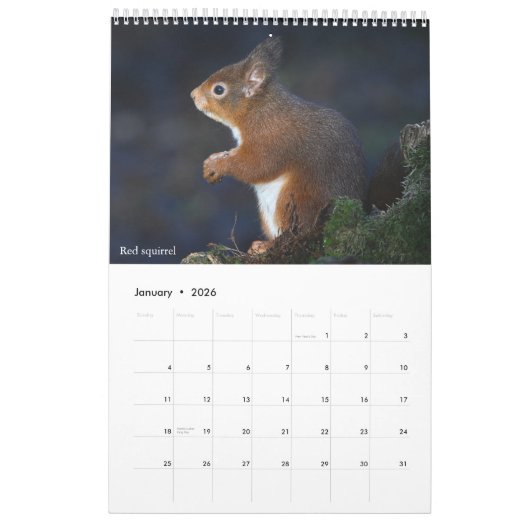 Calendar 2026 Scottish Wildlife  Kalender (Jan 2026)