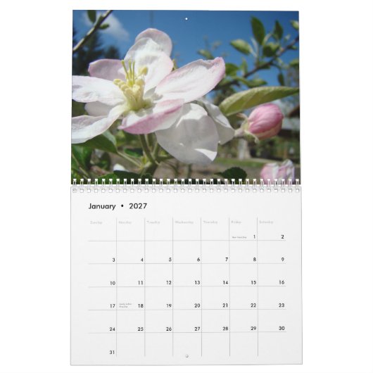 CALENDAR APPARAAT BLOSSOMS Calendar Spring Art Kalender (Jan 2027)