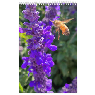 Calendar bees butterflys kalender