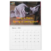 Calendar Cat Roxy Kalender (Feb 2026)