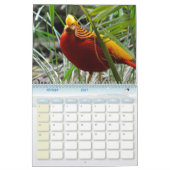 Calendar Fazant Kalender (Feb 2027)