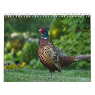 Calendar Fazant Kalender
